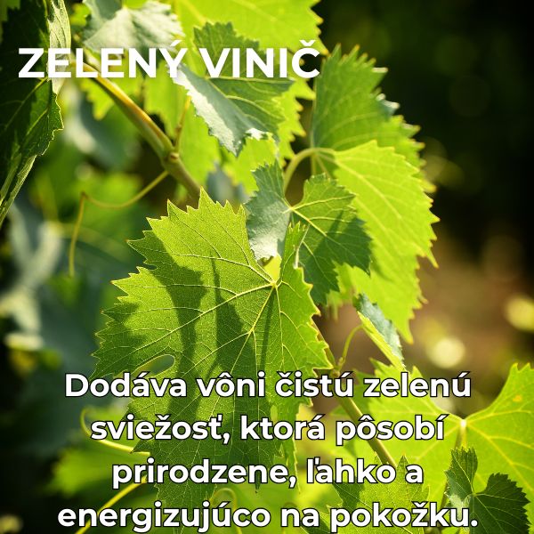 zeleny vinic